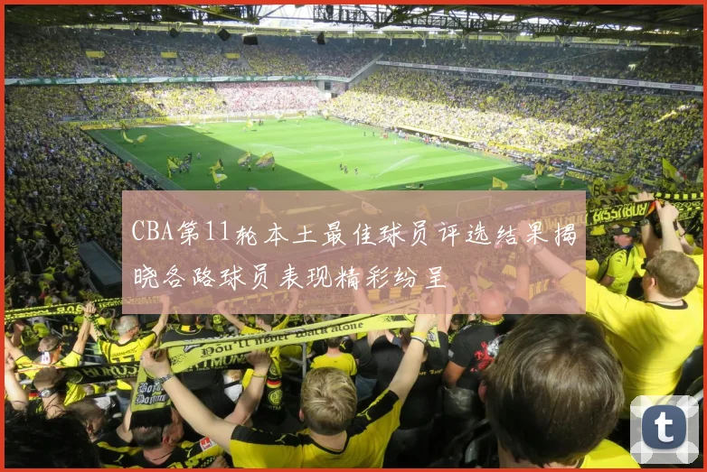 CBA第11轮本土最佳球员评选结果揭晓各路球员表现精彩纷呈