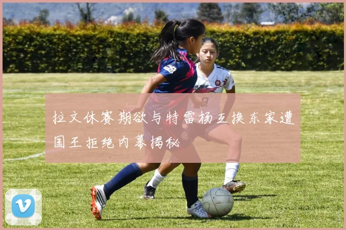 拉文休赛期欲与特雷杨互换东家遭国王拒绝内幕揭秘