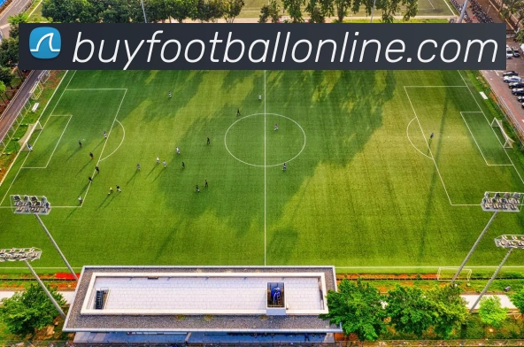 在线买球网站发展历程